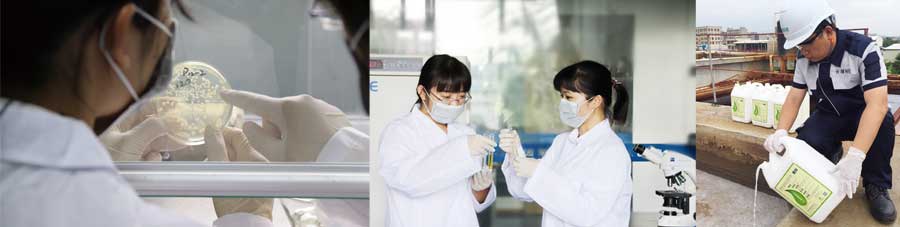 總氮菌-3天見效，15天達標